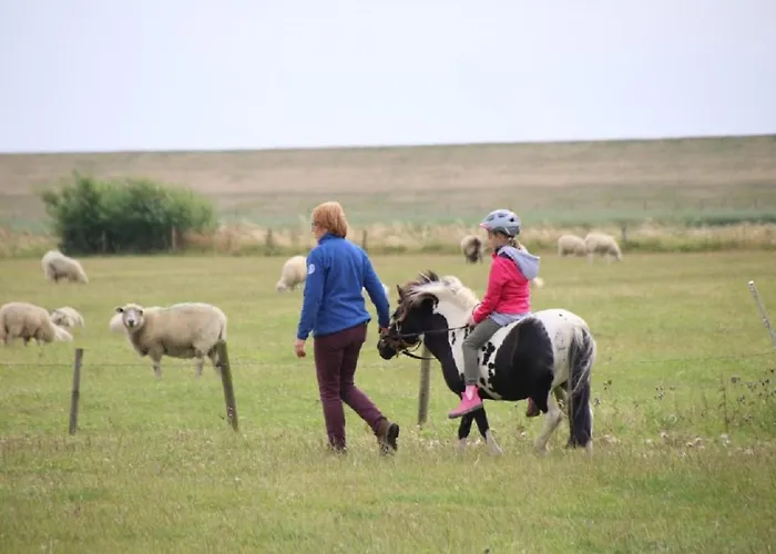 Folger Appartement *
