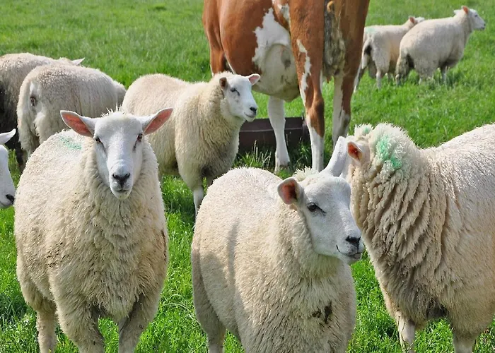 Appartement Folger Hedwigenkoog