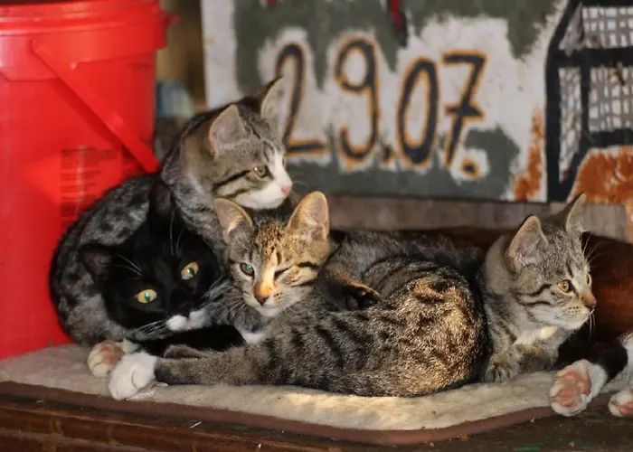 Appartement Folger Hedwigenkoog